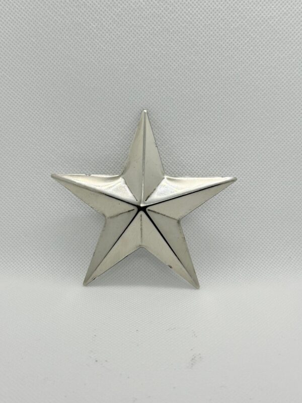 Metallic Star Ornament – Polished Silver Finish